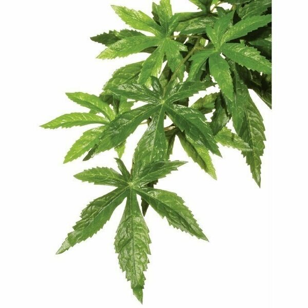 Exo-Terra Silk Plant Large Abutilon